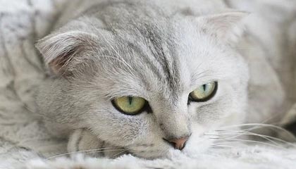 零差云控（深圳）科技股份有限公司获“C+轮”融资，金额数千万人民币