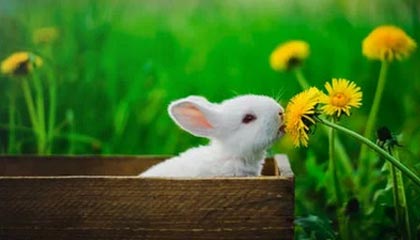 零差云控（深圳）科技股份有限公司获“C+轮”融资，金额数千万人民币