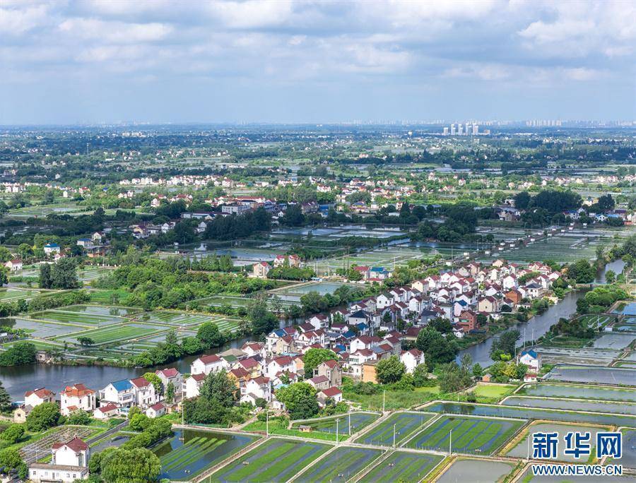 安徽当涂：夏日水乡新画卷