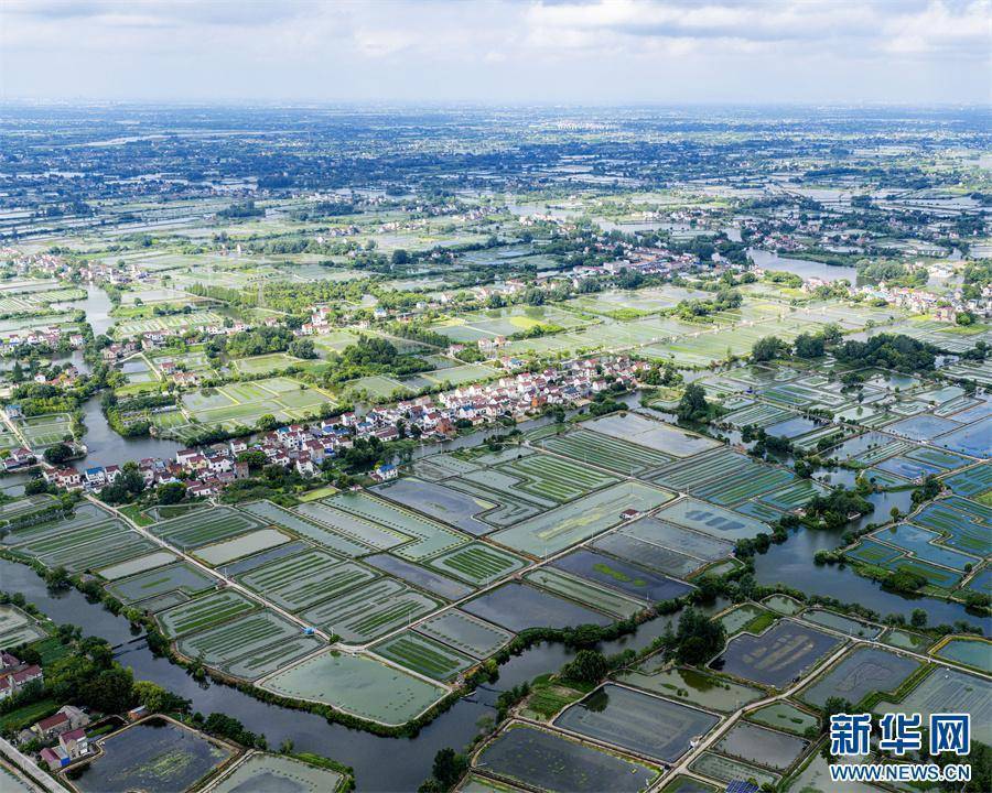 安徽当涂：夏日水乡新画卷