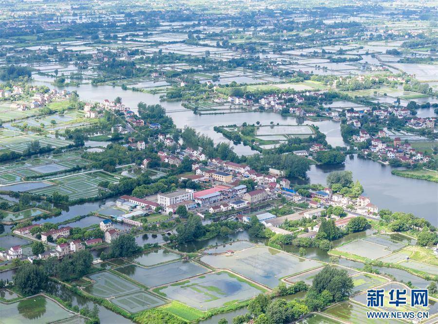 安徽当涂：夏日水乡新画卷