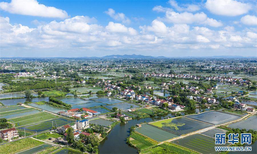 安徽当涂：夏日水乡新画卷