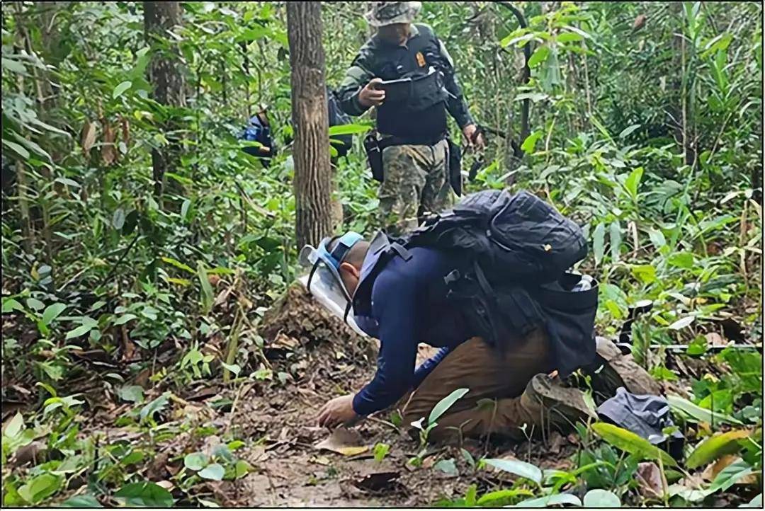 邀47国武官见证，佩通坦抓到洪森破绽，能否打一场漂亮翻身仗？