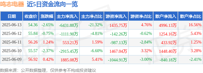 股票行情快报：鸣志电器（603728）6月13日主力资金净卖出6431.88万元