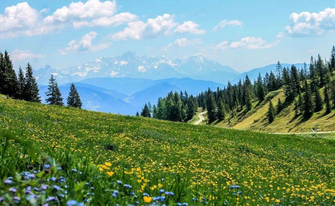 投资科技，不是只有股票一条路