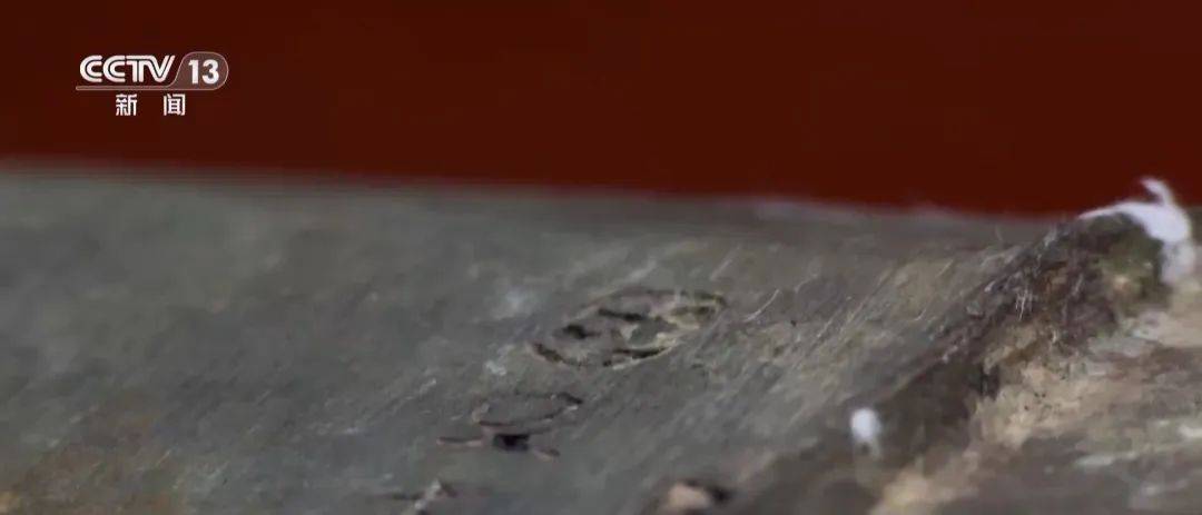 湖北警方破获特大盗墓案:嫌犯看小说学盗墓,挖走20件青铜器国宝,警方扮成“实力买家”接近,大量细节曝光