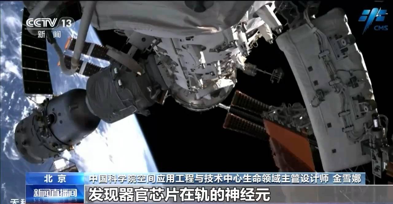 中国空间站完成空间生命科学在轨实验任务 还刷新一项新纪录