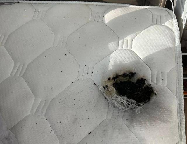 太吓人!辽宁一女子正睡觉,床上的充电宝爆炸起火