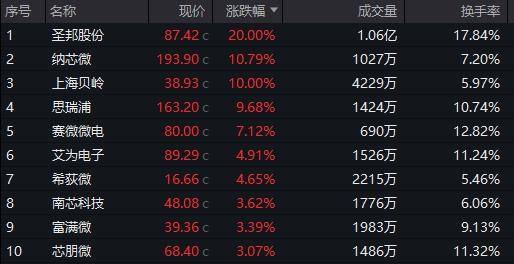 模拟芯片板块大涨，圣邦股份、纳芯微、上海贝岭等涨停