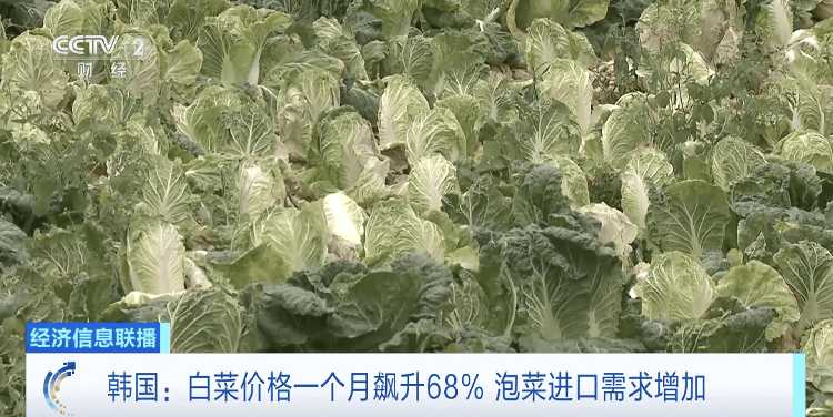 高温致韩国蔬果价格暴涨，一个西瓜卖到173元人民币