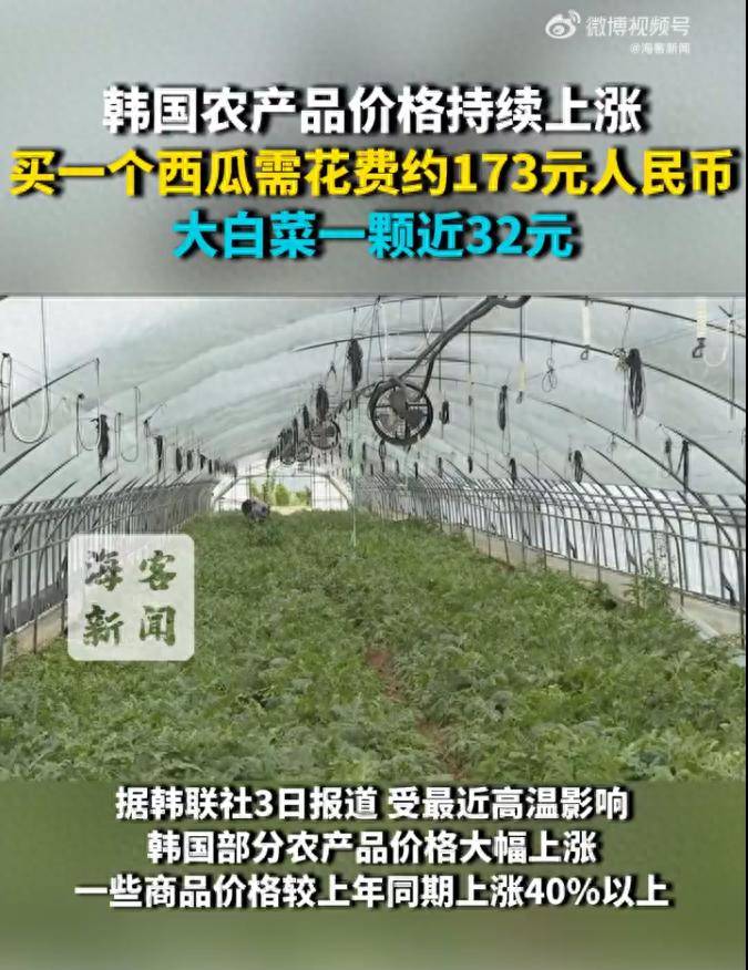 韩国农产品价格持续上涨，买一个西瓜需花费约173元人民币，大白菜一颗近32元