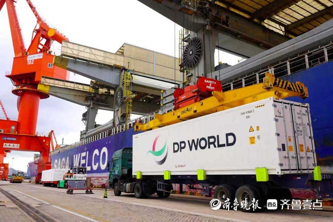 山东港口青岛港：织密“双向”物流大通道，赋能全球产业链发展