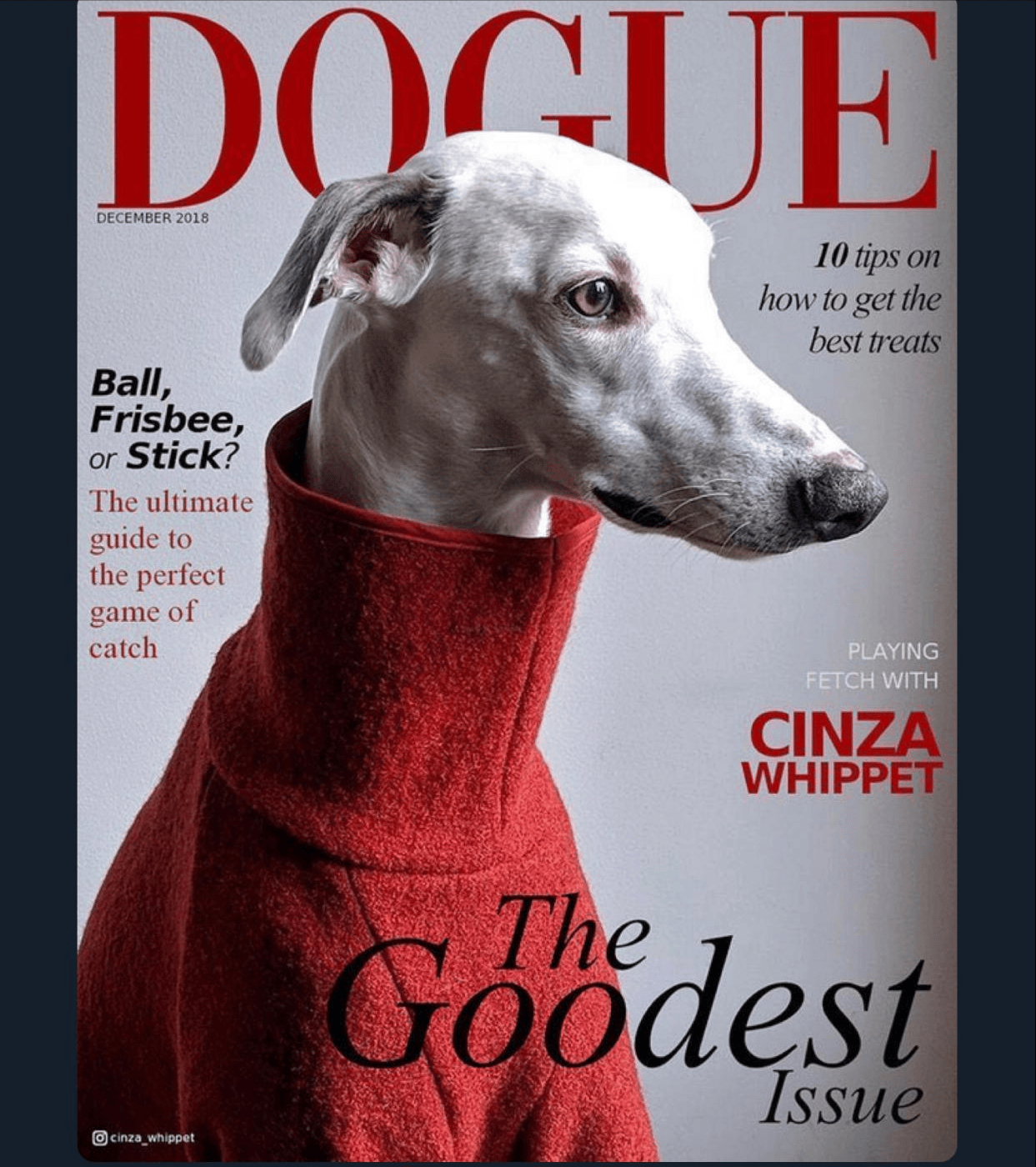 币圈又被马斯克 “带飞”！狗狗币单日暴涨 3.5%