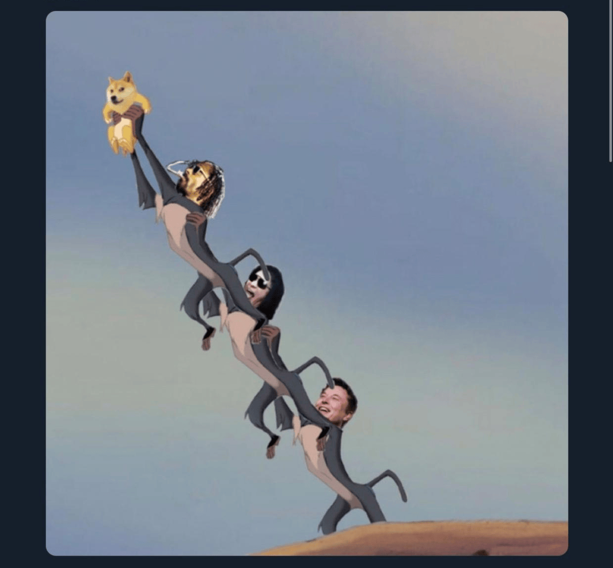 币圈又被马斯克 “带飞”！狗狗币单日暴涨 3.5%