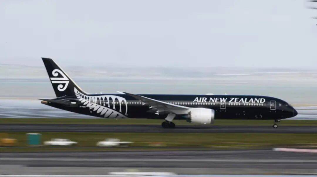 太惨了:纽航半年亏掉5900万纽币!网友:“自作自受”