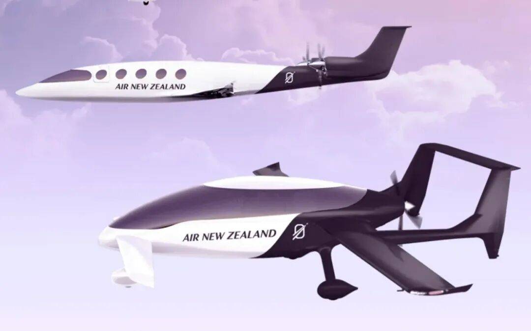 太惨了:纽航半年亏掉5900万纽币!网友:“自作自受”