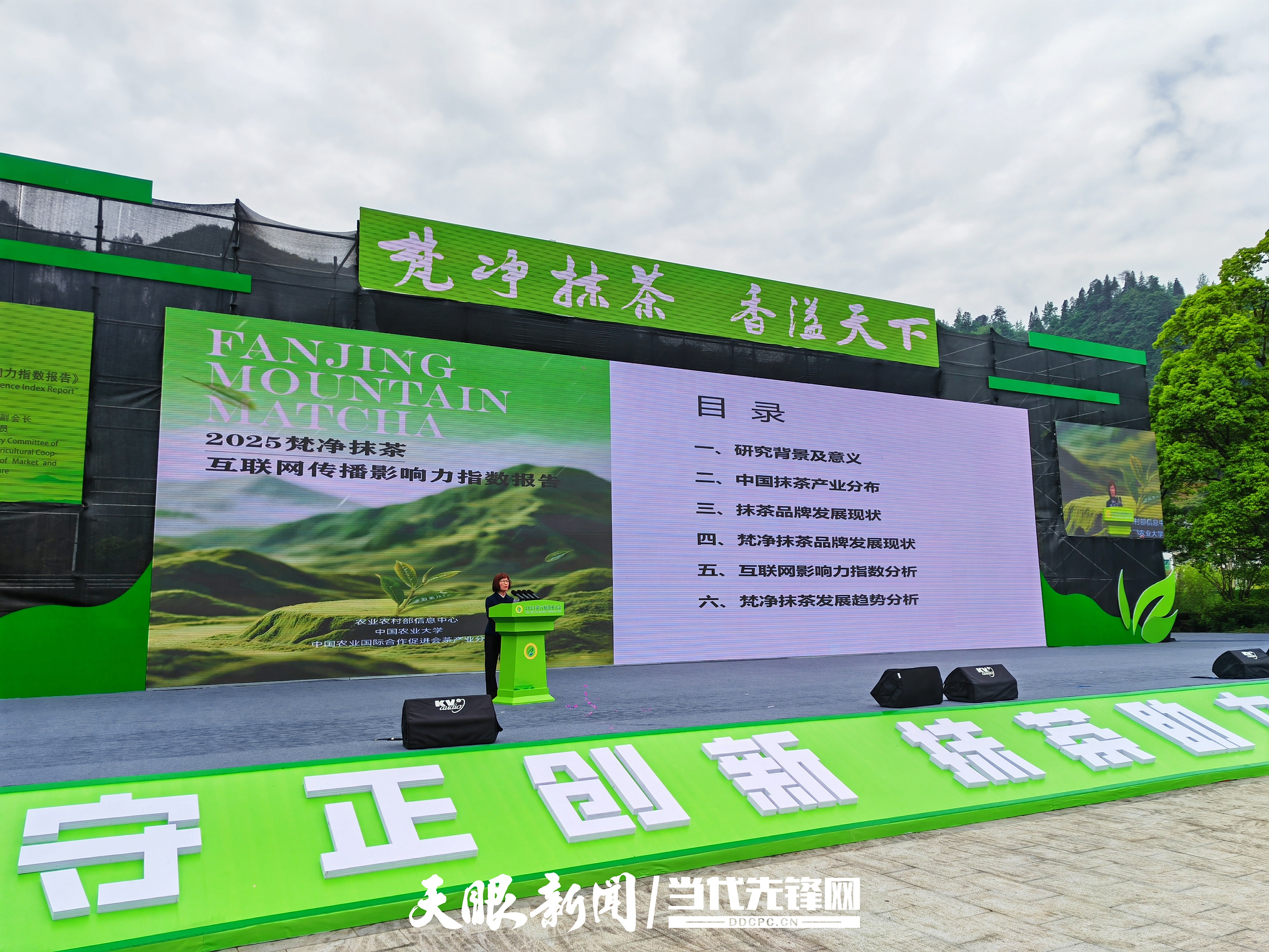 抹茶网站(抹茶网app)